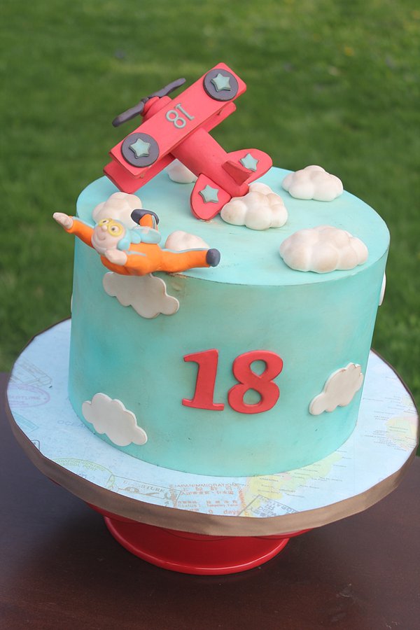 Airplane Flying Skydiving Birthday Cakes Missouri